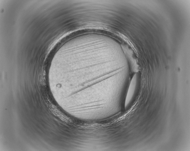 X0000087400926200705111822