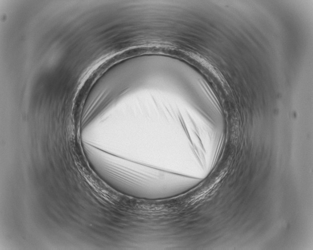 X0000087400927200705111822