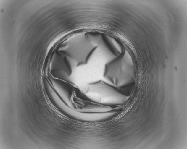 X0000087400928200705111822