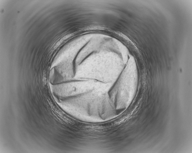 X0000087400929200705111822