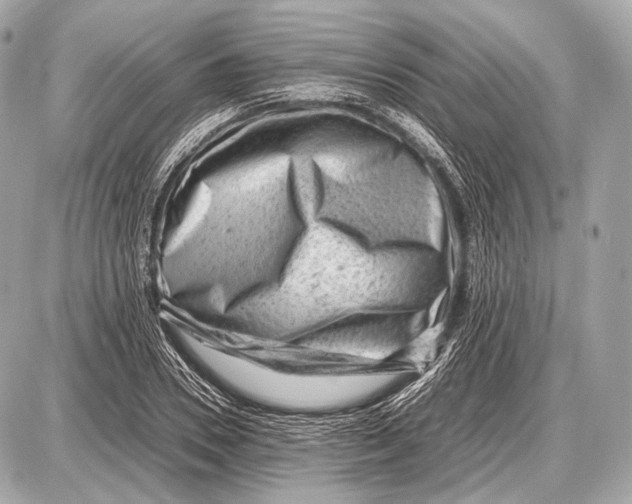 X0000087400930200705111822