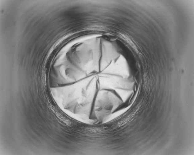 X0000087400931200705111822