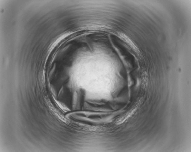 X0000087400932200705111822