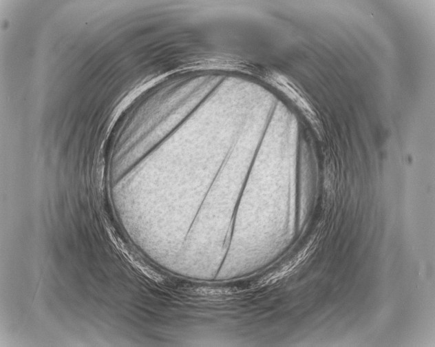 X0000087400933200705111822