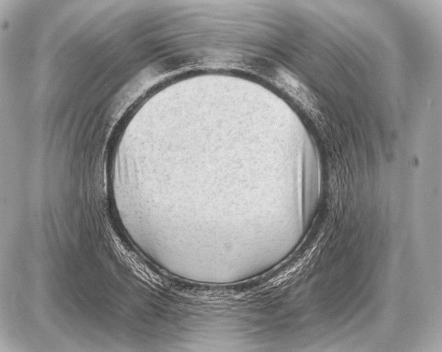 X0000087400934200705111822