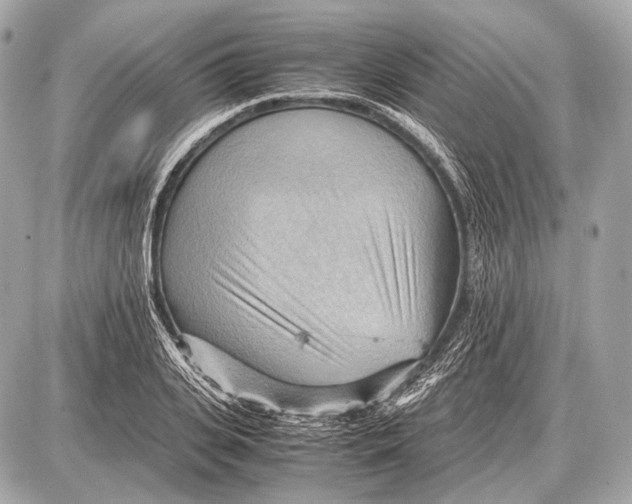 X0000087400935200705111822