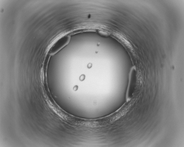 X0000087400936200705111822