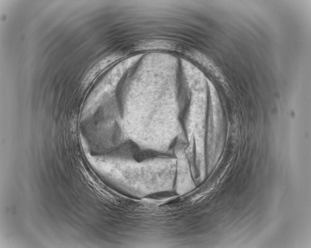 X0000087400937200705111822