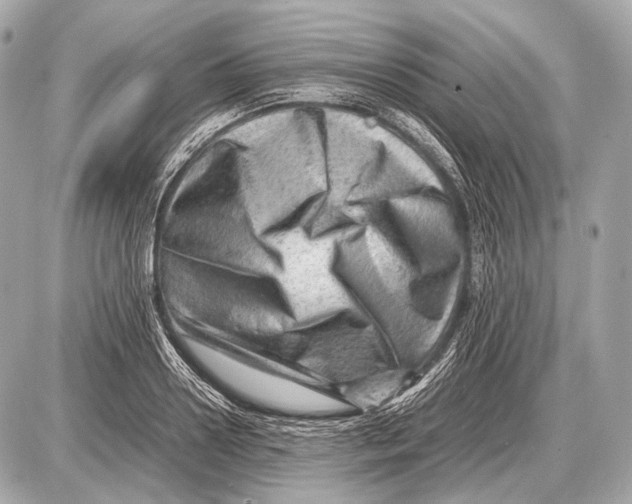 X0000087400938200705111822