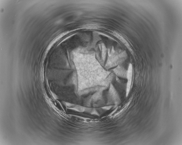 X0000087400939200705111822