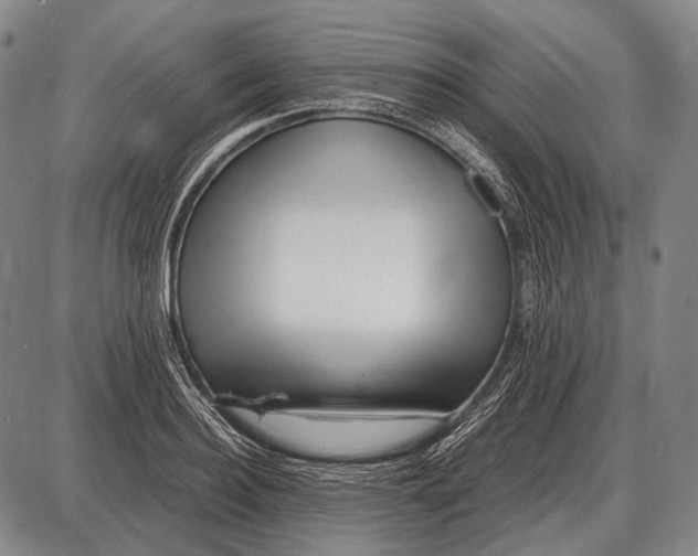 X0000087400940200705111822