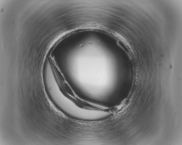 X0000087400942200705111822