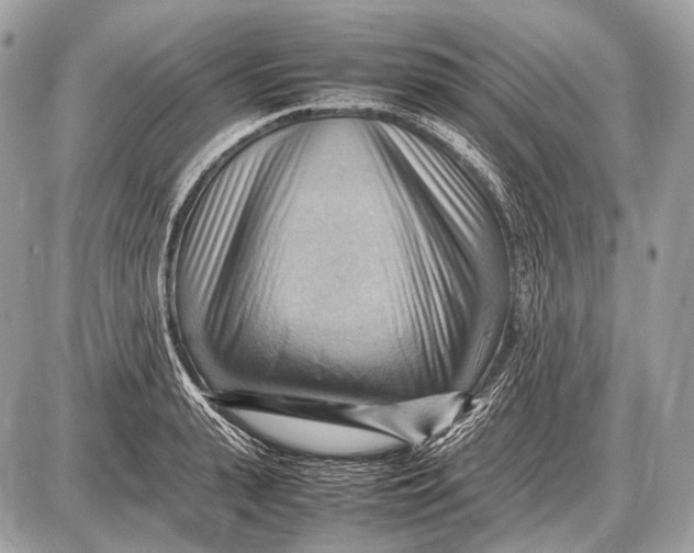 X0000087400943200705111822