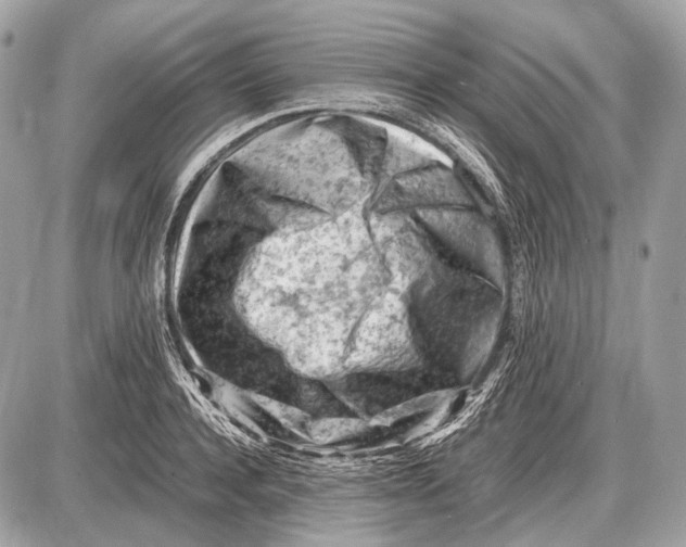 X0000087400944200705111822