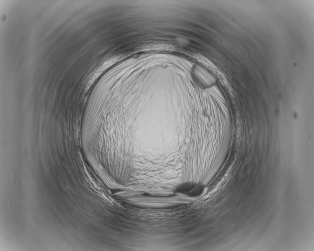 X0000087400945200705111822