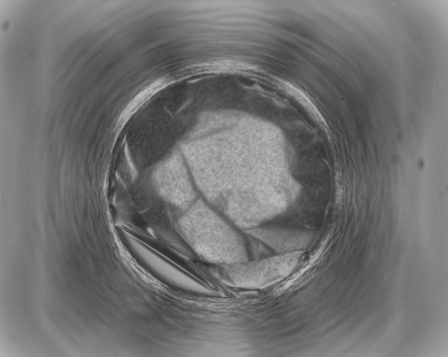 X0000087400946200705111822