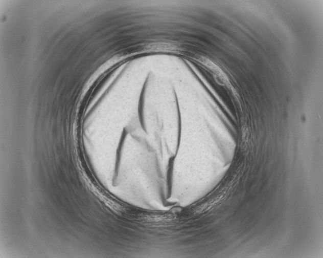 X0000087400947200705111822