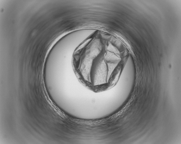 X0000087400948200705111822