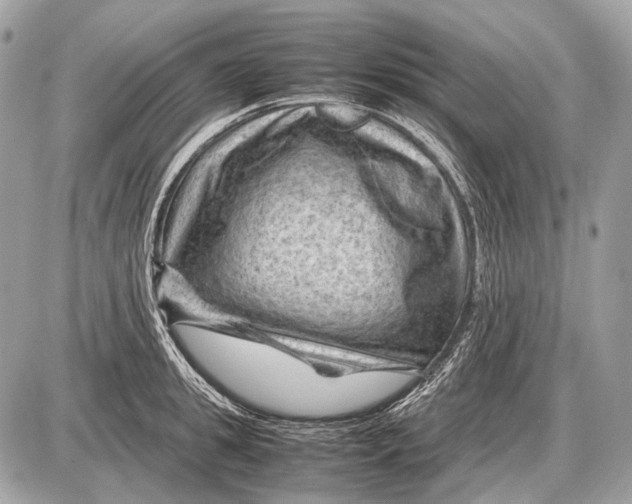 X0000087400949200705111822