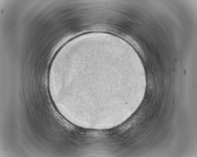 X0000087400950200705111822