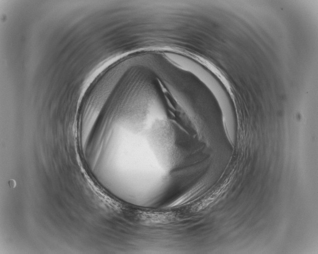 X0000087400951200705111822