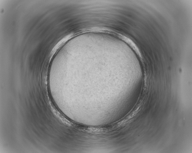 X0000087400954200705111822