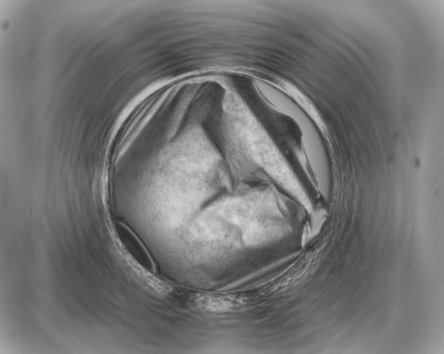 X0000087400955200705111822