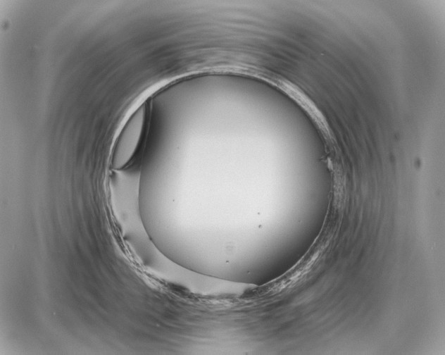 X0000087400956200705111822