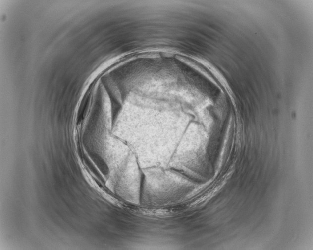 X0000087400957200705111822