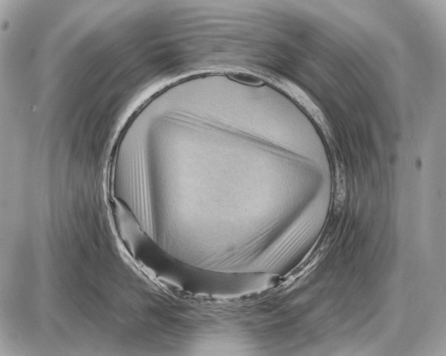 X0000087400958200705111822