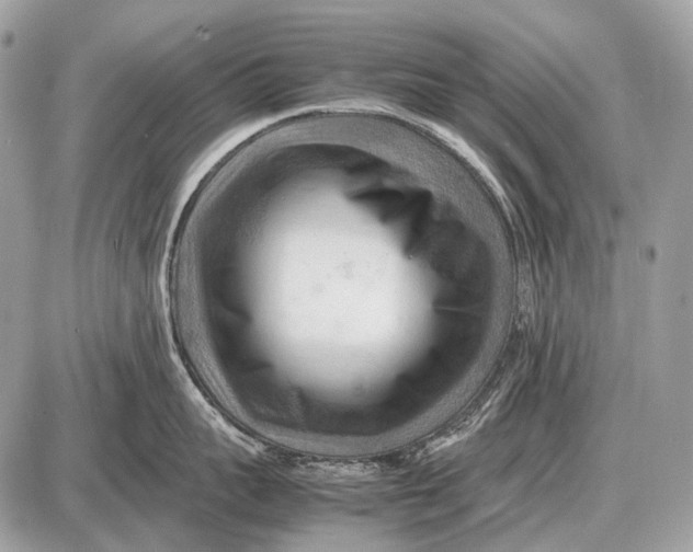 X0000087400959200705111822