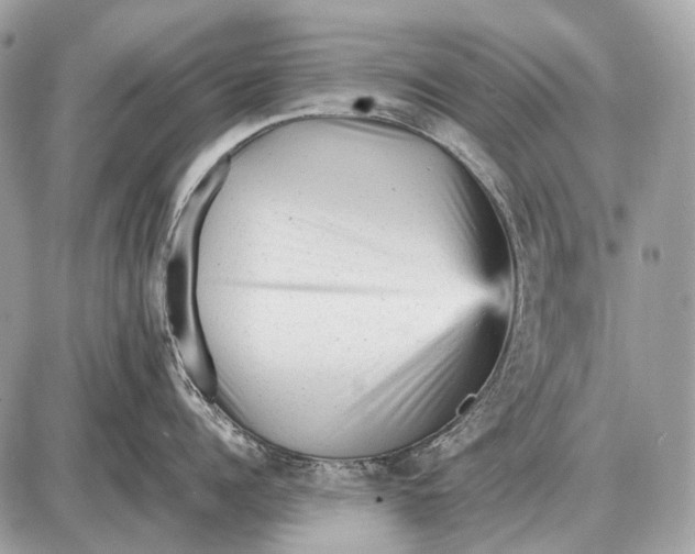 X0000087400960200705111822