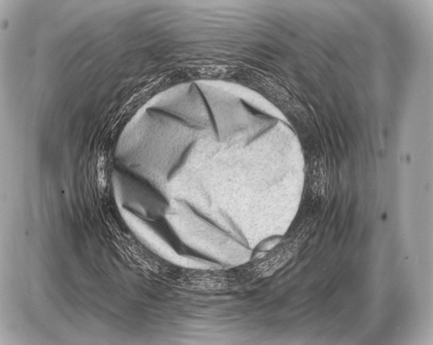 X0000087400962200705111822