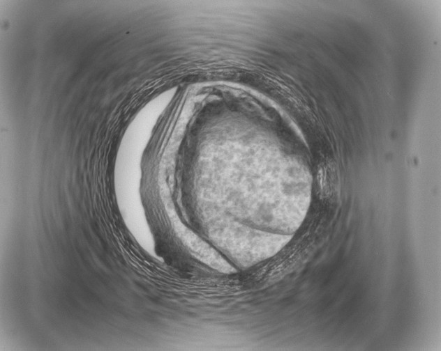 X0000087400963200705111822