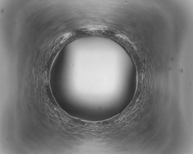 X0000087400965200705111822