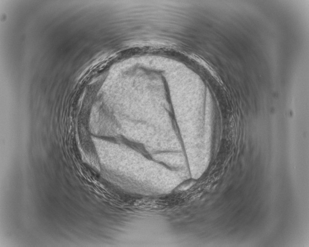 X0000087400967200705111821