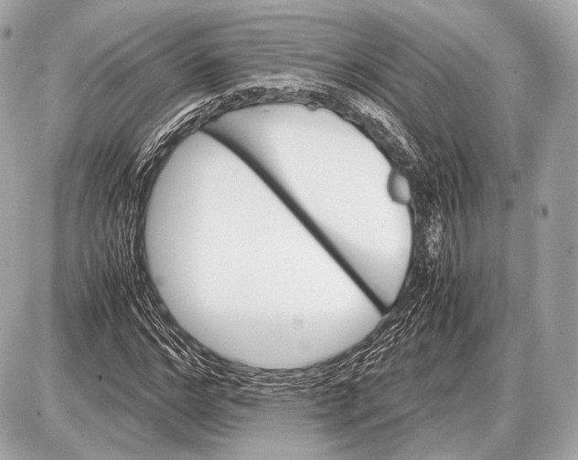 X0000087400968200705111821