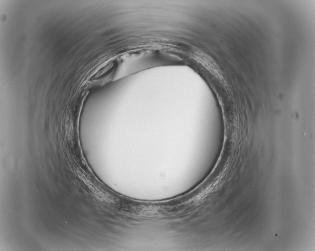 X0000087400969200705111821