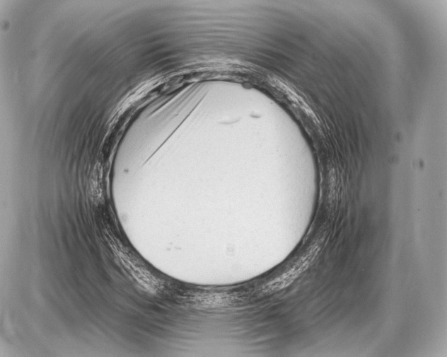 X0000087400970200705111821