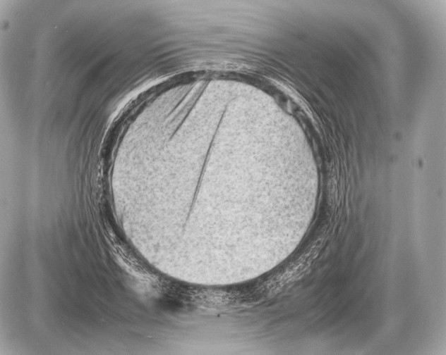 X0000087400971200705111821