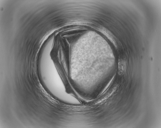 X0000087400972200705111821