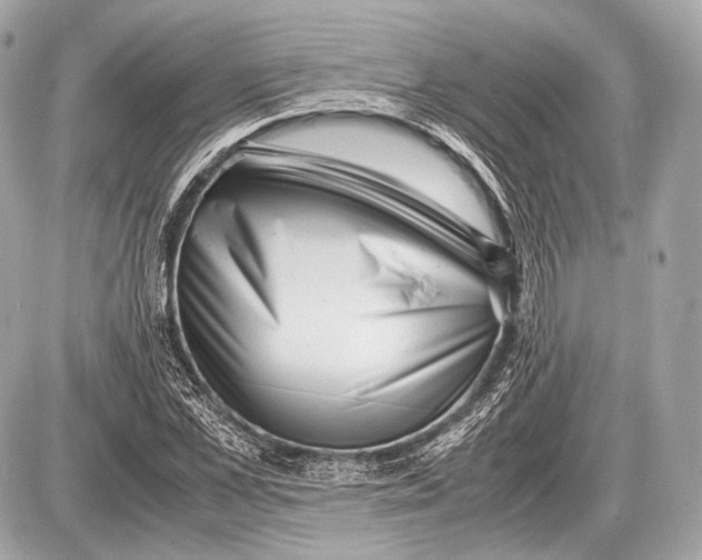 X0000087400973200705111821