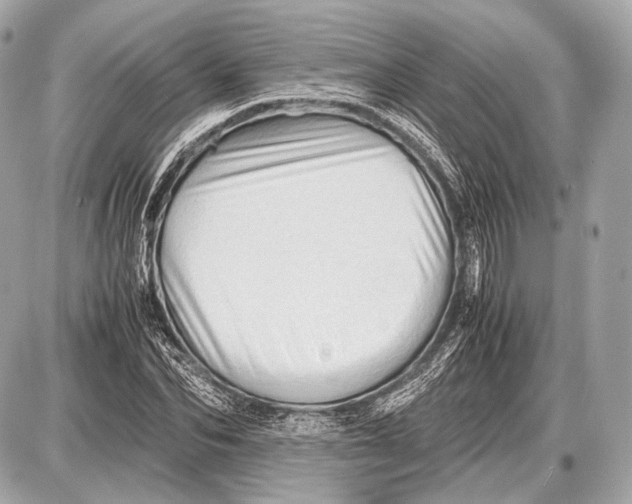 X0000087400974200705111821