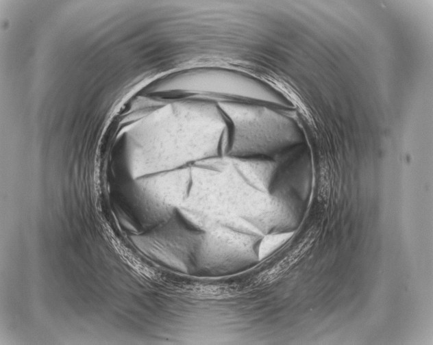 X0000087400976200705111821