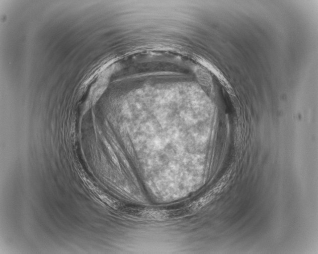 X0000087400977200705111821