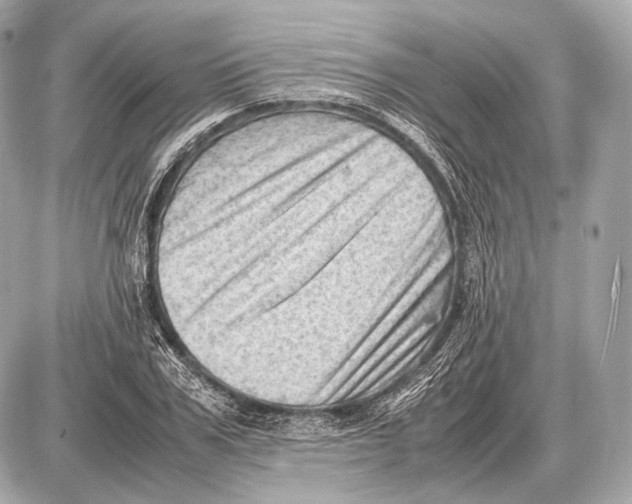 X0000087400979200705111821