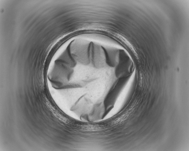 X0000087400980200705111821