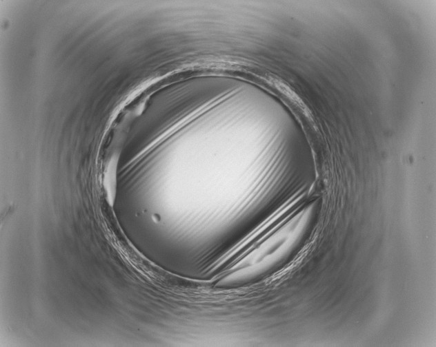 X0000087400981200705111821