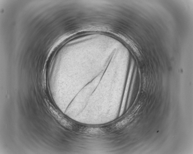 X0000087400982200705111821