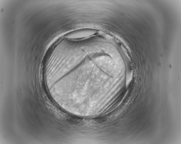 X0000087400983200705111821